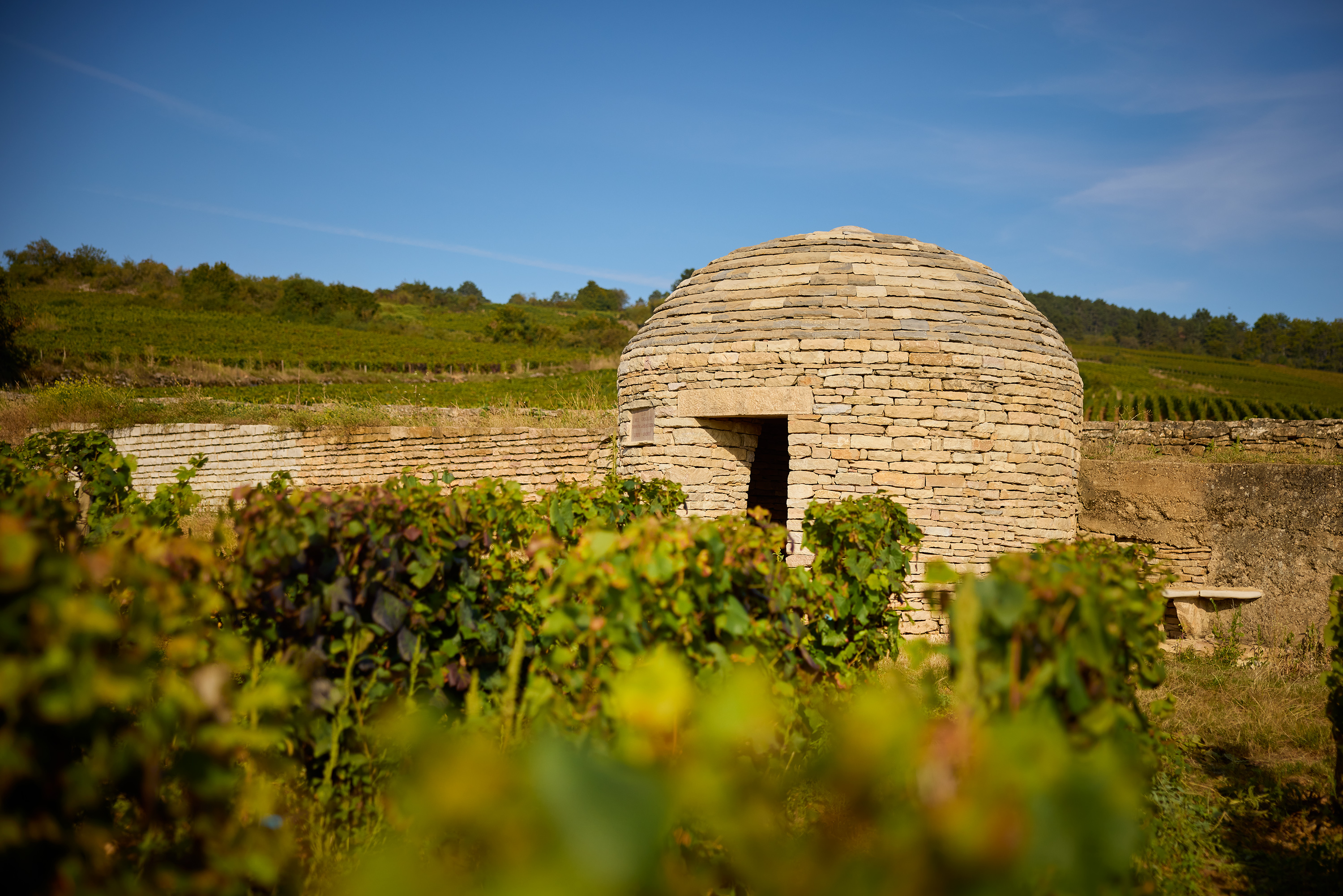 Diversité des vins de Beaune